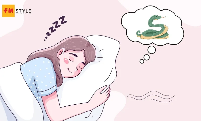 Giải mã mơ thấy nhiều rắn theo từng trường hợp